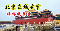 看逼逼视频中国北京-东城古宫旅游风景区